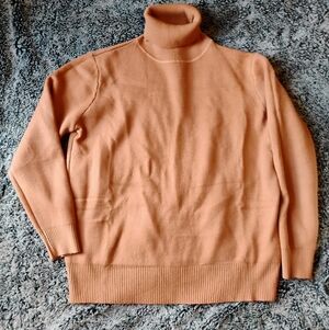 Cozy Tan Turtleneck Sweater